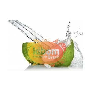 Agua de Coco Sococo 330 ml